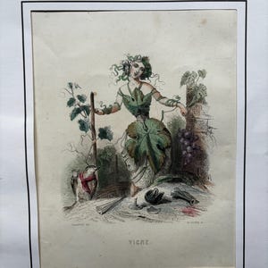 Estampe J.J Grandville « Vigne »/Impression ancienne coloriée à la main/Gravure sur acier par Ch. Geoffroy/plant de vigne personnifié comme jeune fille avec petit oiseau