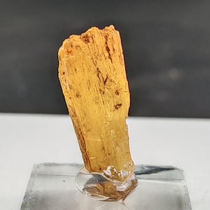 May include: A golden-yellow mineral specimen, possibly a crystal, is mounted on a clear, rectangular base. The mineral has a rough, textured surface and a vertical, elongated shape. The background is a dark gray.