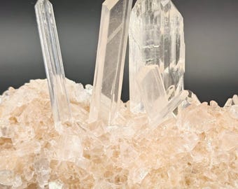 Selenite Gypsum Crystals – Laguna del Rey, Mexico | Unique Collectible Item