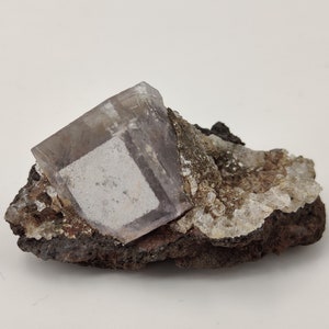 Phantom fluorite + gout, 28g, Ojuela, Mexico