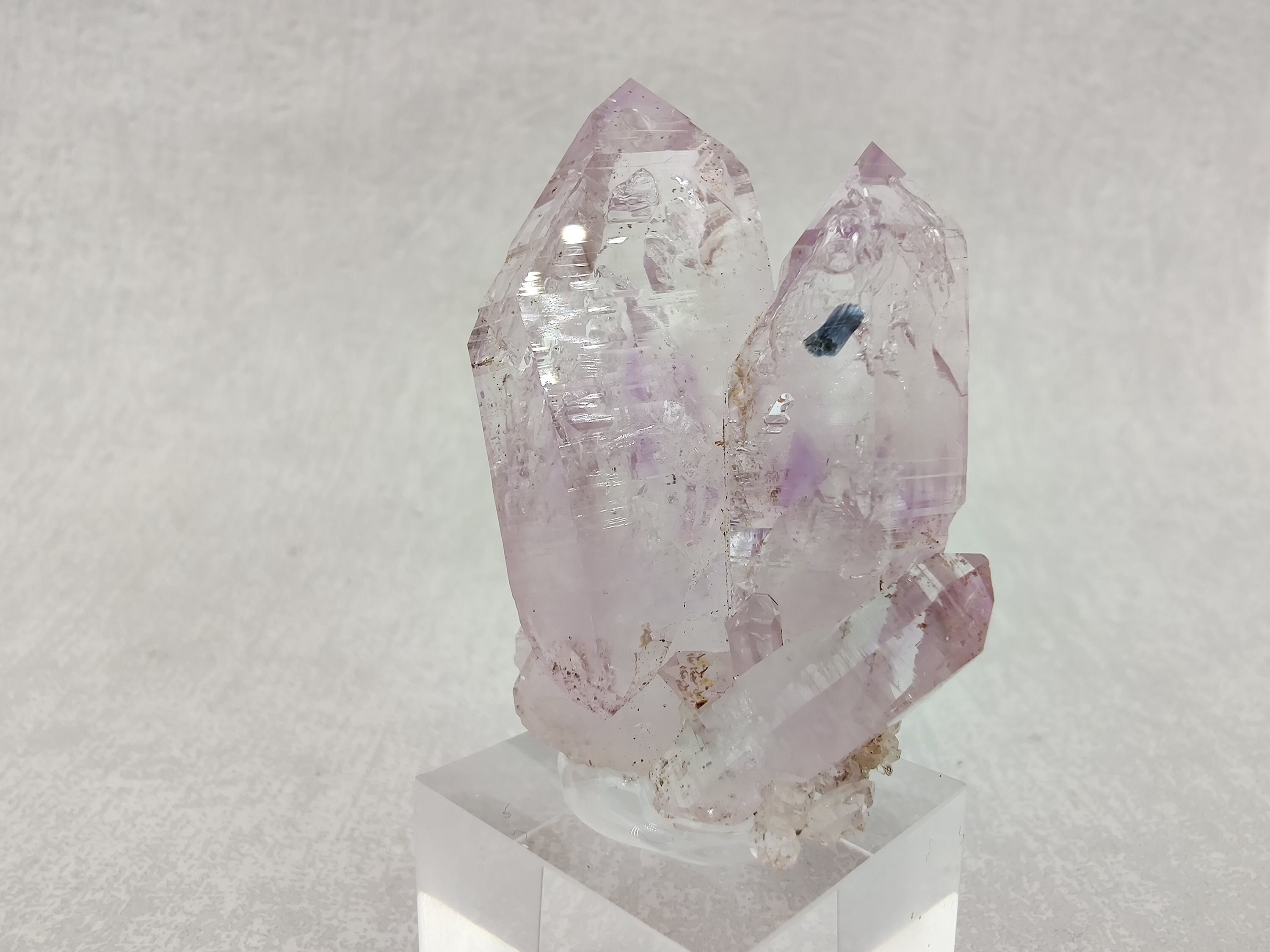 Top Améthyste Enhydro | 1 Goutte d'eau , Veracruz, Mexique