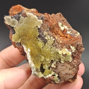 Austinite crystallized on a limonite matrix – Ojuela, Durango, Mexico