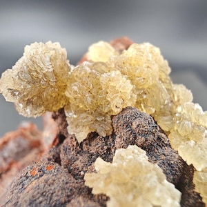 May include: A mineral specimen featuring clusters of translucent, pale yellow, crystalline formations growing upon a dark, textured, reddish-brown rock matrix. The crystals exhibit a jagged, multifaceted surface structure with a light-reflecting quality.