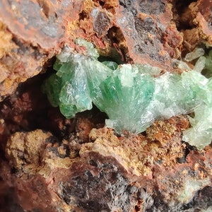 May include: Detailed image of a mineral sample showcasing bright green crystals set in a matrix of reddish-brown and tan rock. The crystals are arranged in a radiating, fan-like pattern, contrasting with the earthy background. The texture is rough and natural.