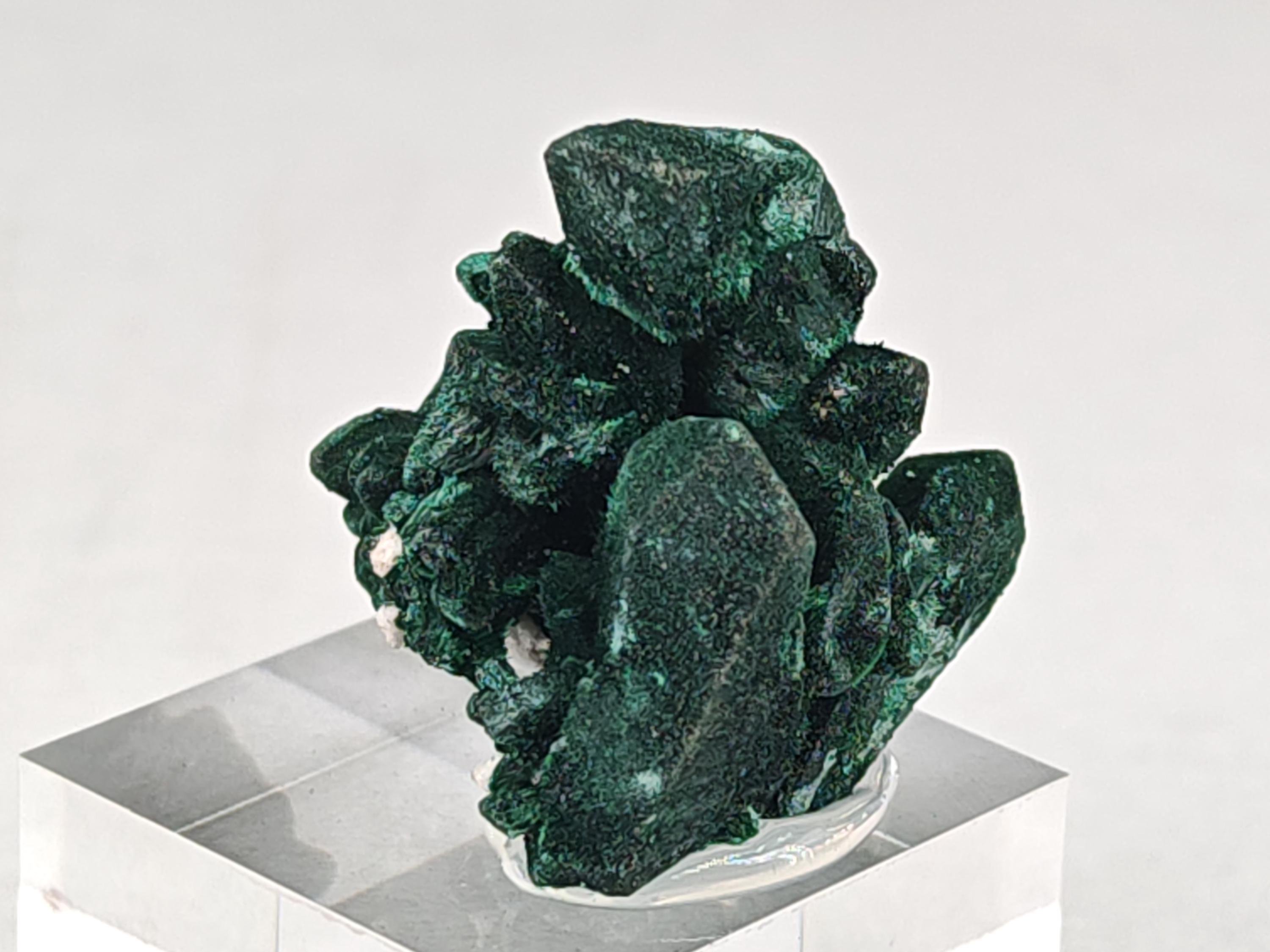 アズライトとマラカイトの共生(銅鉱石）ミルピラス鉱山（メキシコ） アズライトとマラカイトの共生(銅鉱石）ミルピラス鉱山（メキシコ