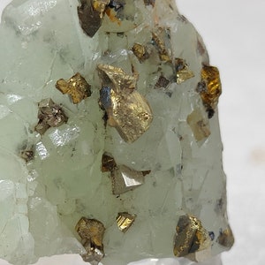May include: Close-up of a pale green mineral with embedded golden pyrite crystals. The crystals have a metallic luster and are irregularly shaped, contrasting with the translucent, crystalline structure of the host mineral.