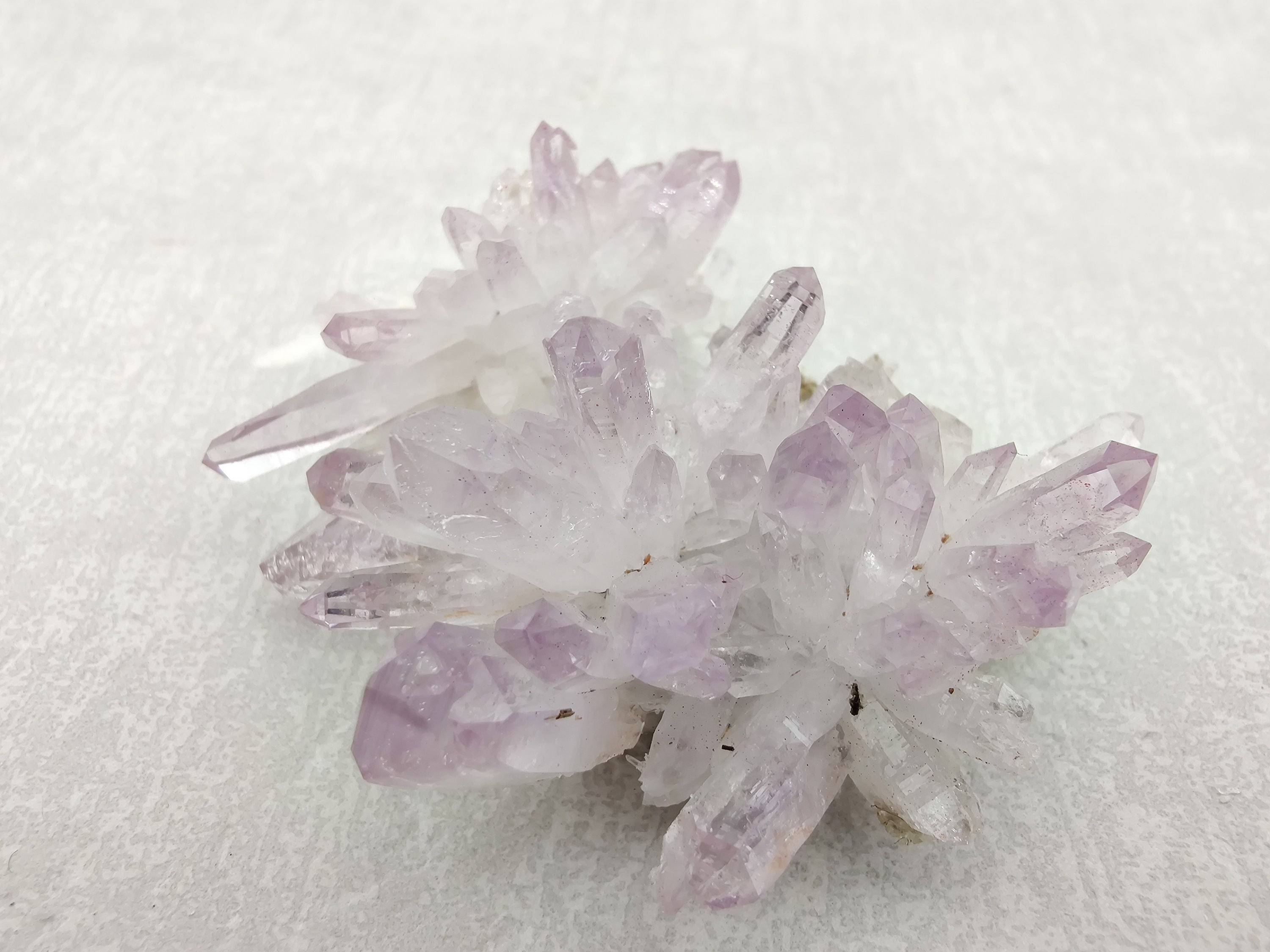 Top Améthyste, Piedra Parada, Veracruz, Mexique