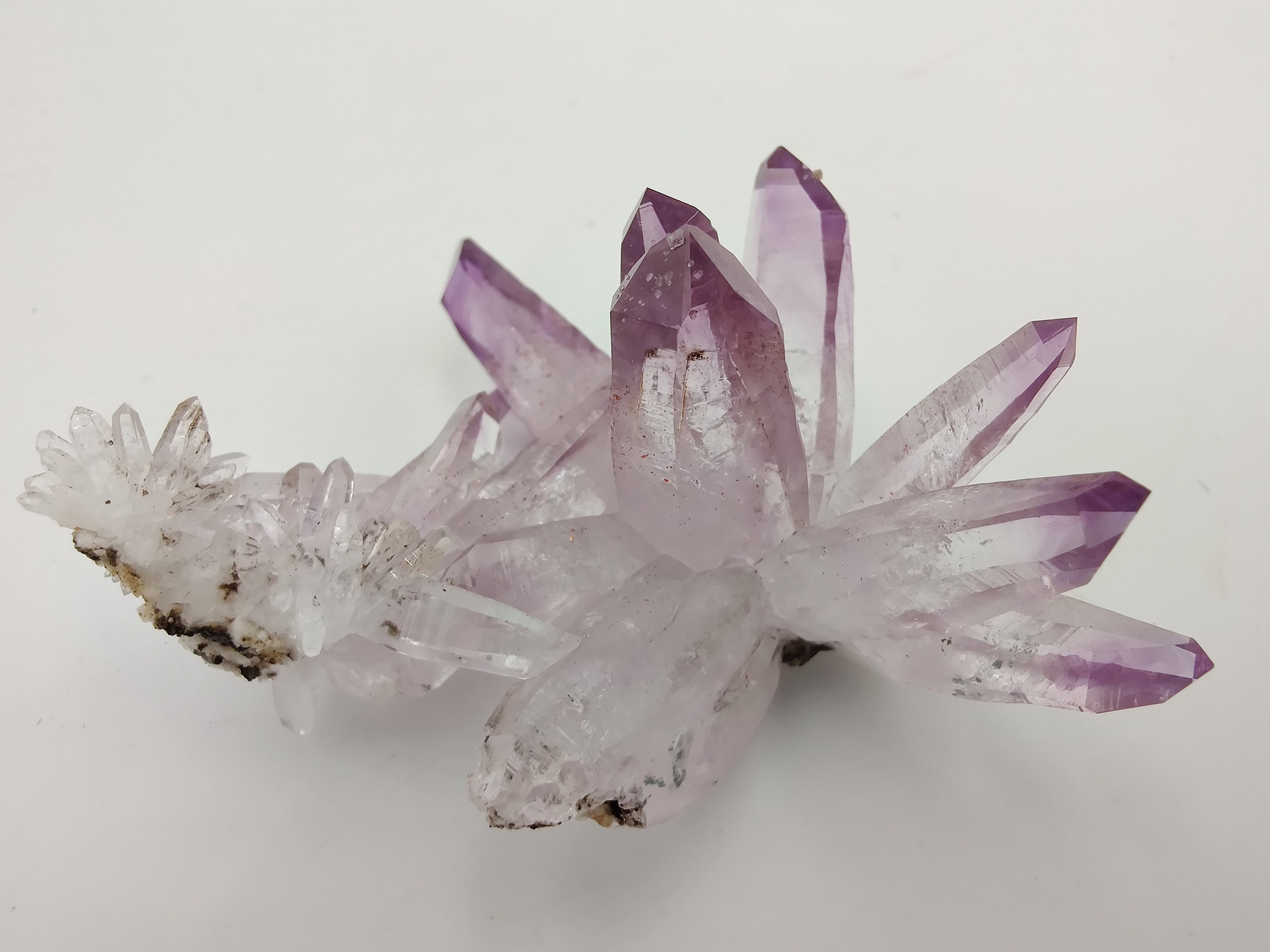 Fleur d'améthyste, Veracruz, Top Qual.