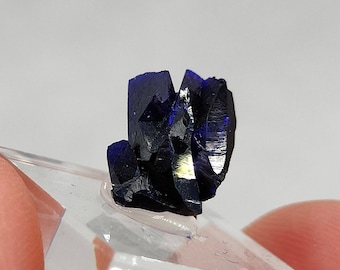 Azurite petals, Milpillas, Mexico