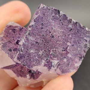Fluorite, Muzquiz, Mexico