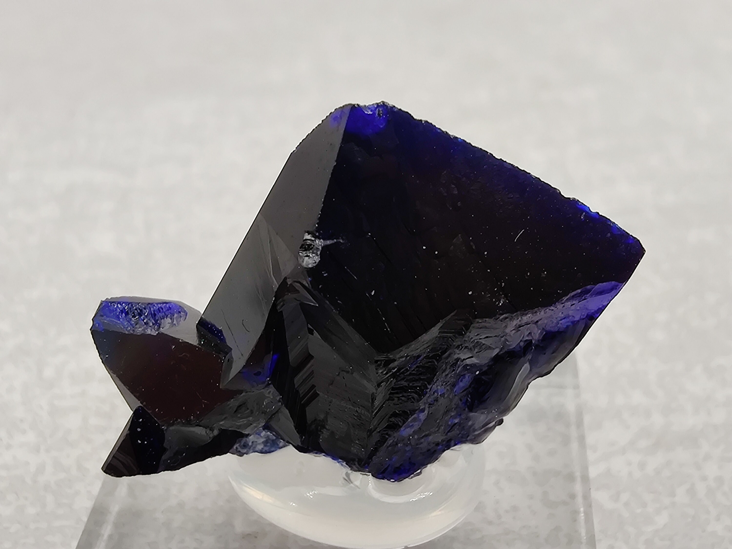 Pétales d'azurite, Milpillas, Mexique
