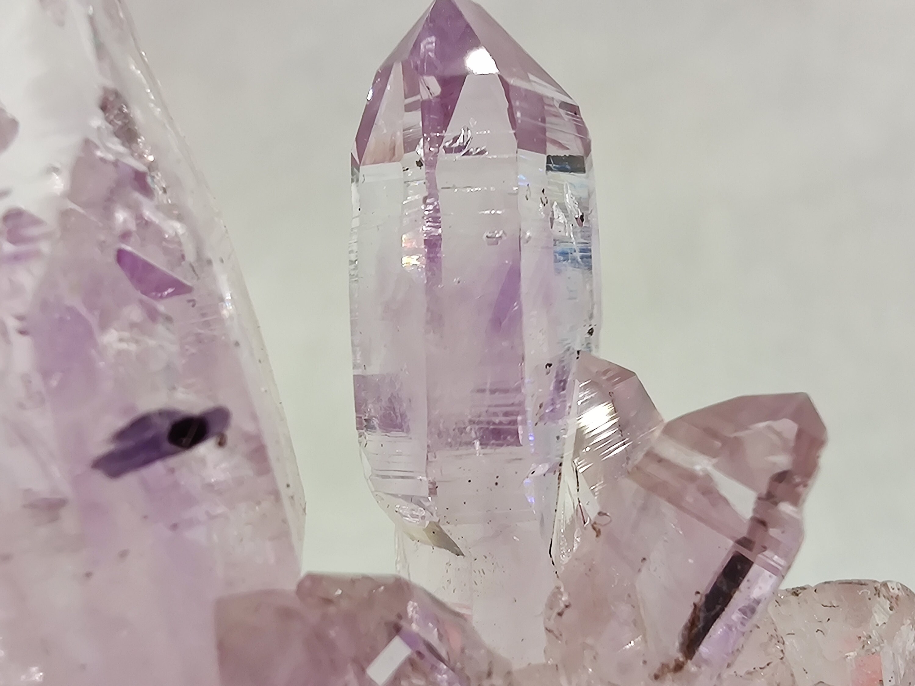 Top Améthyste Enhydro Sceptre | 1 Goutte d'eau , Veracruz, Mexique