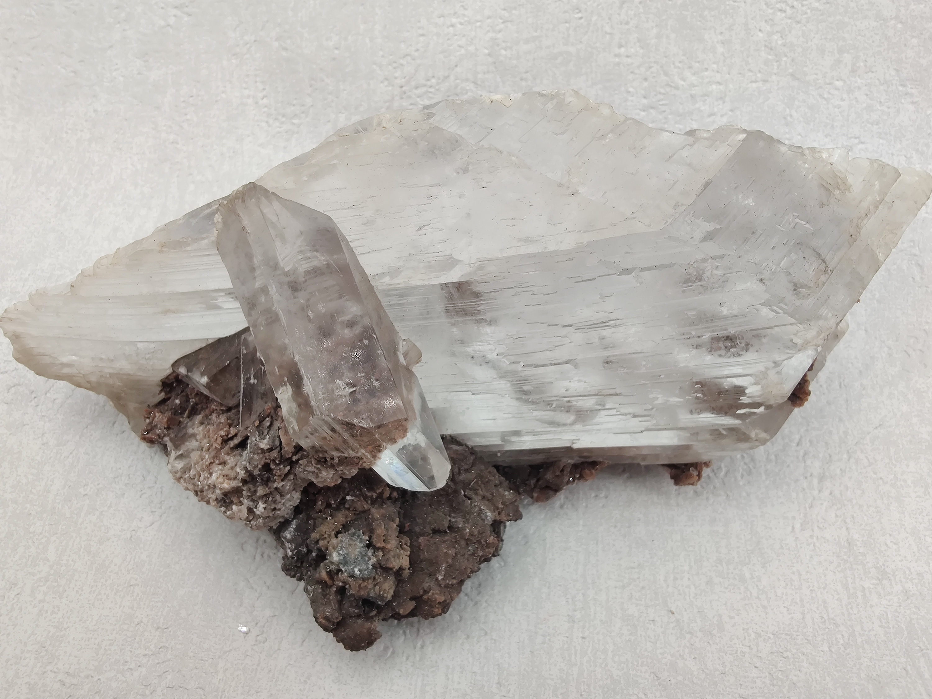 Gros Gypse Var. Selenite 762G, Naica, Mexique