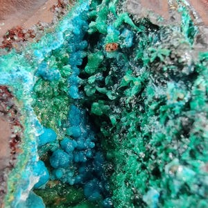 May include: Close-up of a mineral specimen featuring vibrant turquoise and emerald green crystalline formations. The mineral's surface has a rough, textured appearance, with a mix of dark brown and gray matrix.
