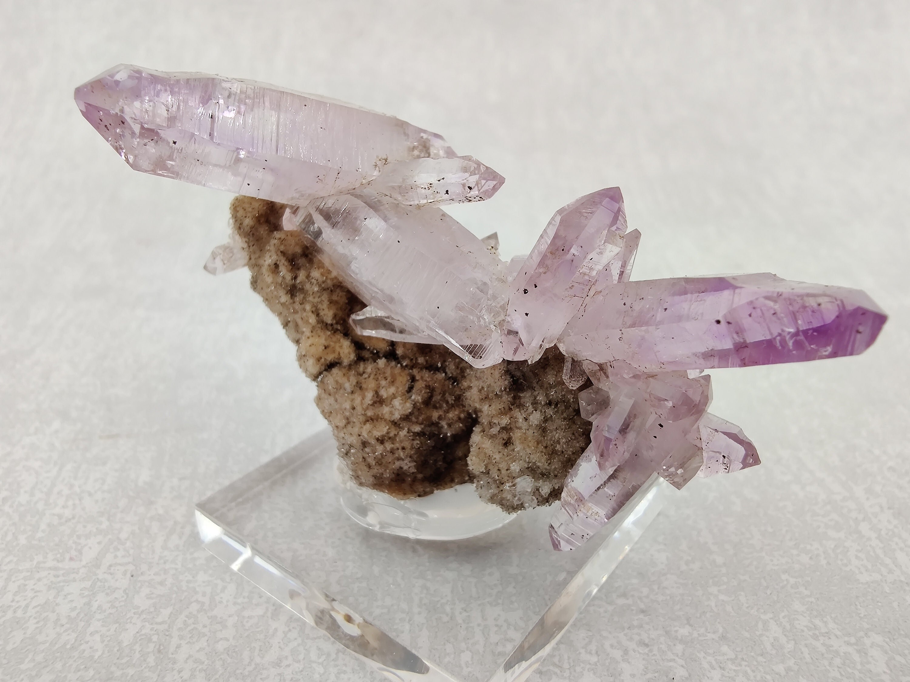 Veracruz - Améthyste sur Gangue