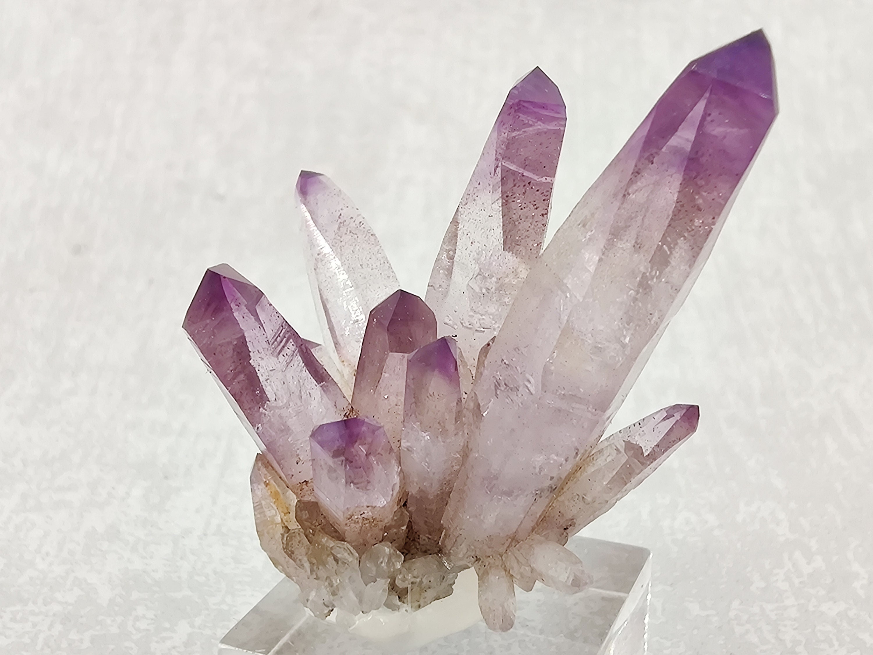 Top Fleur d'améthyste, Veracruz