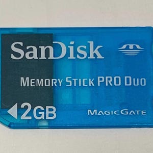 SanDisk brand 2 gb Memory Stick Pro Duo Memory Card