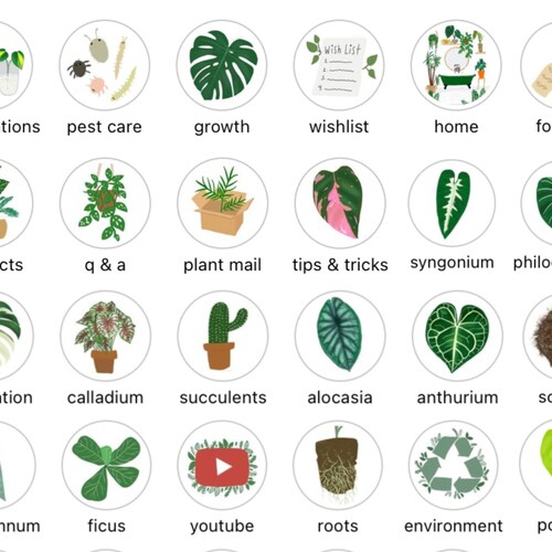 Plant Lovers Instagram Story Highlight Covers Etsy