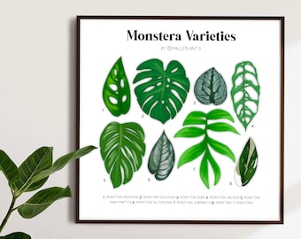Monstera Varieties - Plant Identification Chart - Digital Download