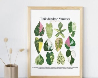 May include: A printable poster featuring a botanical illustration of different Philodendron varieties. The poster has a white background with the title "Philodendron Varieties" and the names of each variety listed below the illustrations.