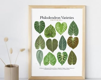 Samt-Philodendron-Arten - Pflanzenbestimmungstabelle - Digitaler Download