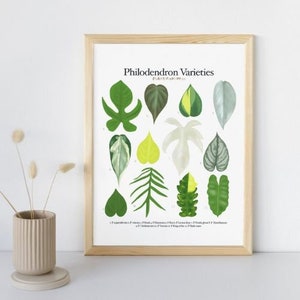 Philodendron Varieties - Plant Identification Chart - Digital Download