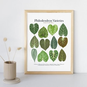 Samt-Philodendron-Arten - Pflanzenbestimmungstabelle - Digitaler Download
