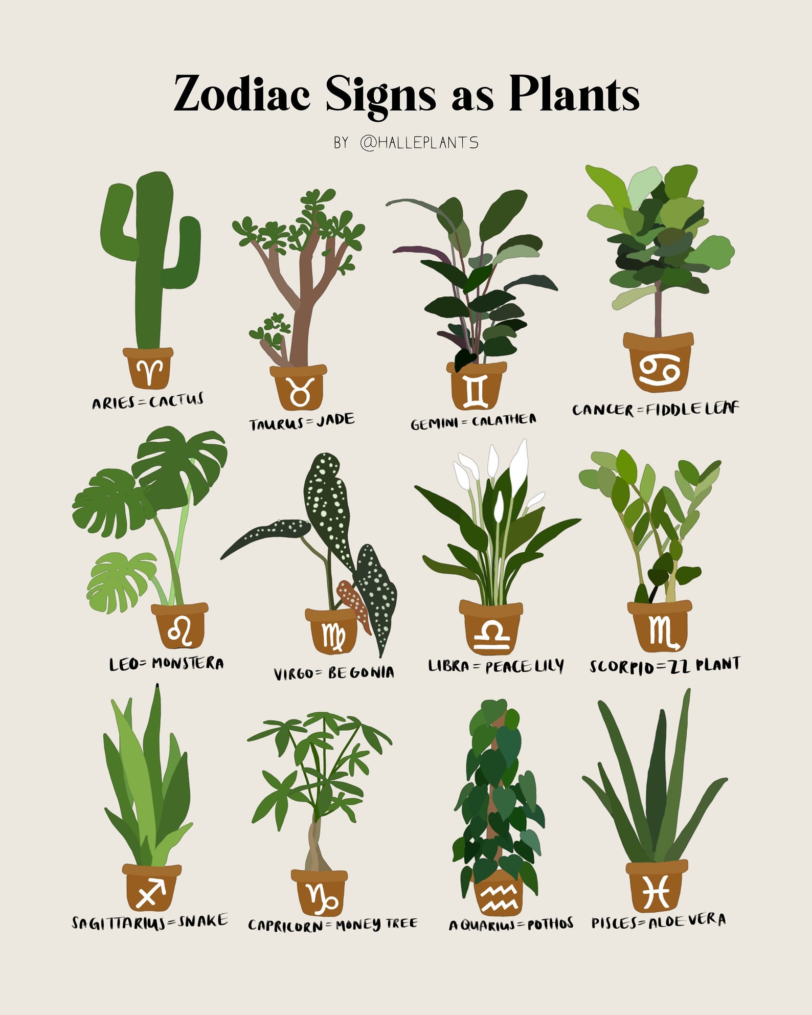 Zodiac Signs as Plants XL Etsy