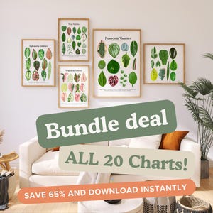 BUNDLE - ALLE 20 Pflanzenidentifikationskarten - Digitaler Download