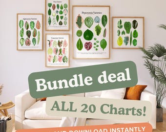 BUNDLE - ALL 20 Plant Identification Charts - Digital Download