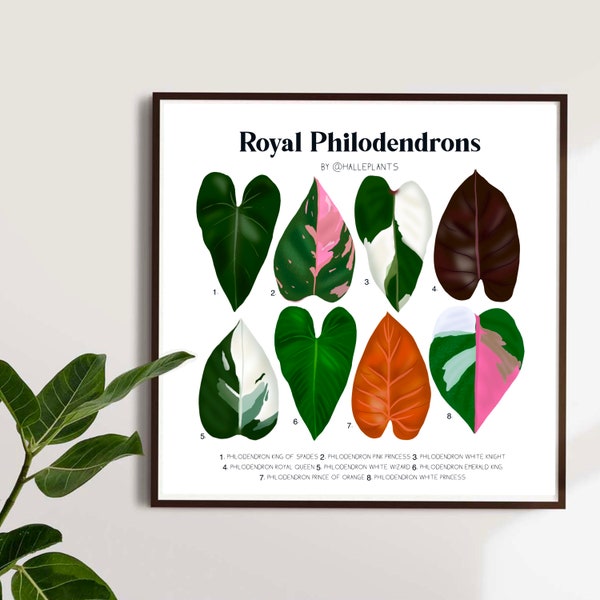 Royal Philodendron Varieties - Plant Identification Chart - Digital Download