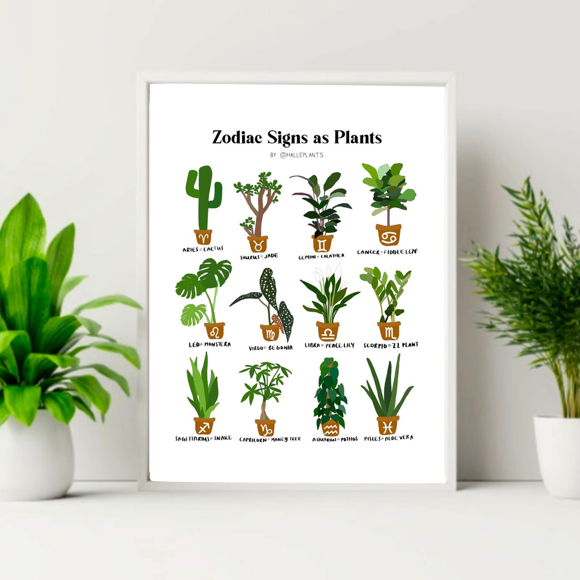 Zodiac Signs as Plants Digital Download Etsy