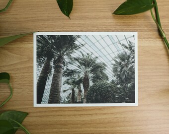 Palm Trees Greenhouse Fine Art Print | Singapore Gardens by the Bay Photo | Landscape Photography | 5x7 Travel Photo Print