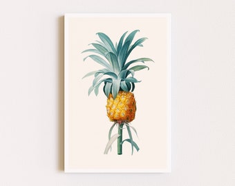 Downloadable Prints | Botanical Illustration | Pineapple Print | Fruit Wall Art | Minimalist Art | Printable Wall Art