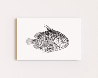 Downloadable Prints | Fish Print | Black and White Art | Vintage Drawing | Nature Prints | Minimalist Art | Printable Wall Art