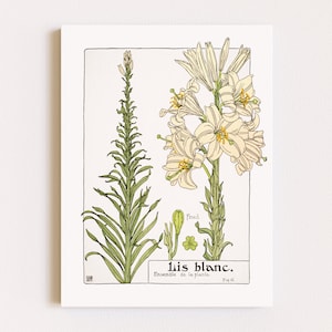 Downloadable Prints | Botanical Illustration | Vintage Floral Print | Art Nouveau Flowers | French Print | Printable Wall Art