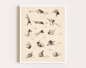 Downloadable Prints | Cat Poster | Vintage Illustration | Cute Cat Prints | Funny Animal Prints | Printable Wall Art