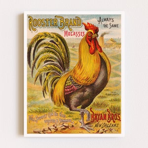 Impresiones descargables / Arte de pared de gallo / Cartel de cocina de granja / Decoración de pollo / Cartel publicitario / Arte de pared imprimible