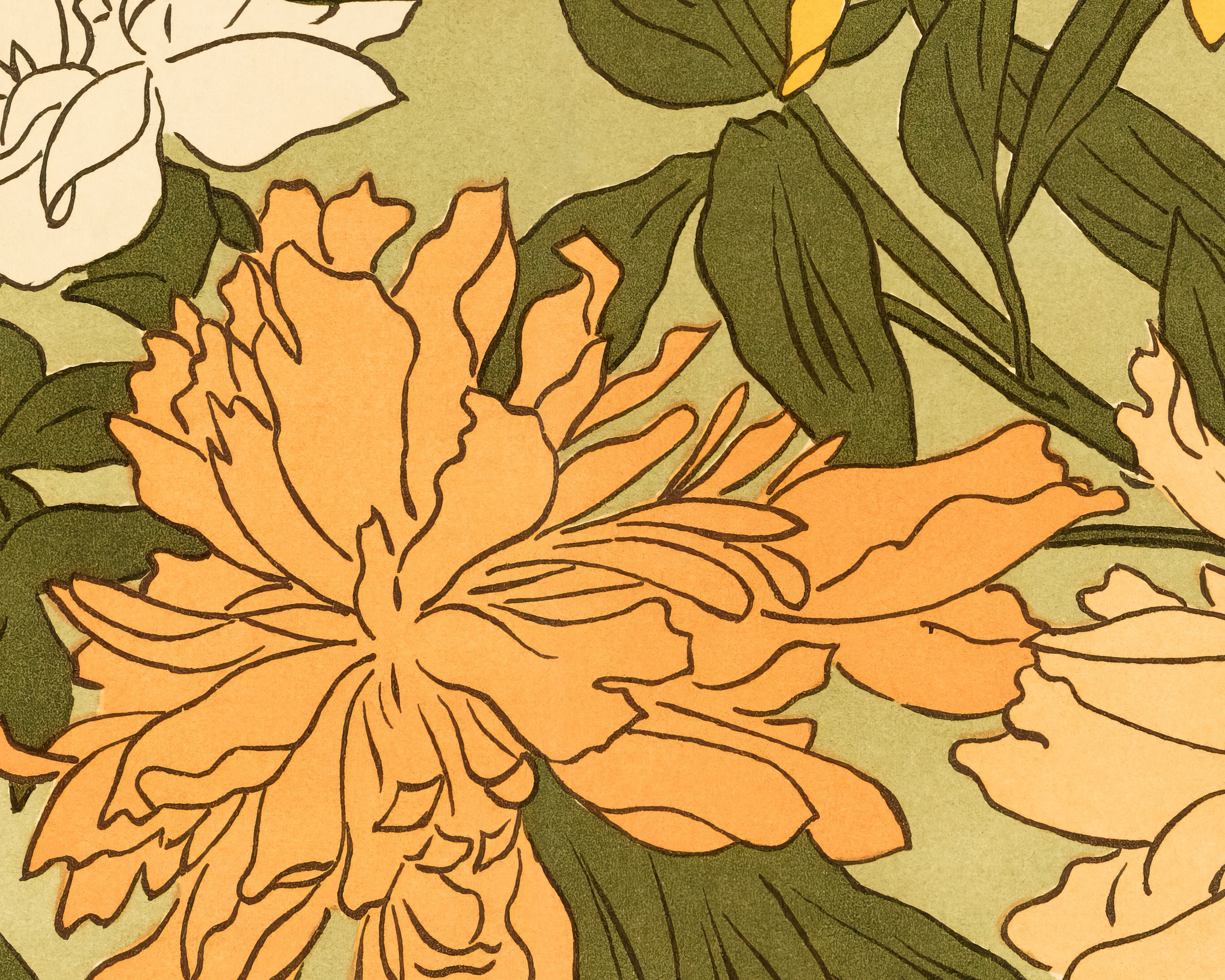 French Country Decor French Botanical Art Nouveau Poster Digital