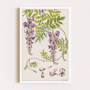 Downloadable Prints | Art Nouveau Flowers | Botanical Illustration | Wisteria Print | Cottagecore Decor | Printable Wall Art