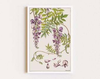 Downloadable Prints | Art Nouveau Flowers | Botanical Illustration | Wisteria Print | Cottagecore Decor | Printable Wall Art