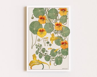 Downloadable Prints | Art Nouveau Flowers | Nasturtium Print | Botanical Illustration | Cottagecore Decor | Printable Wall Art