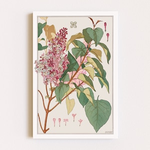 Downloadable Prints | Art Nouveau Flowers | Lilac Print | Botanical Illustration | Cottagecore Decor | Printable Wall Art