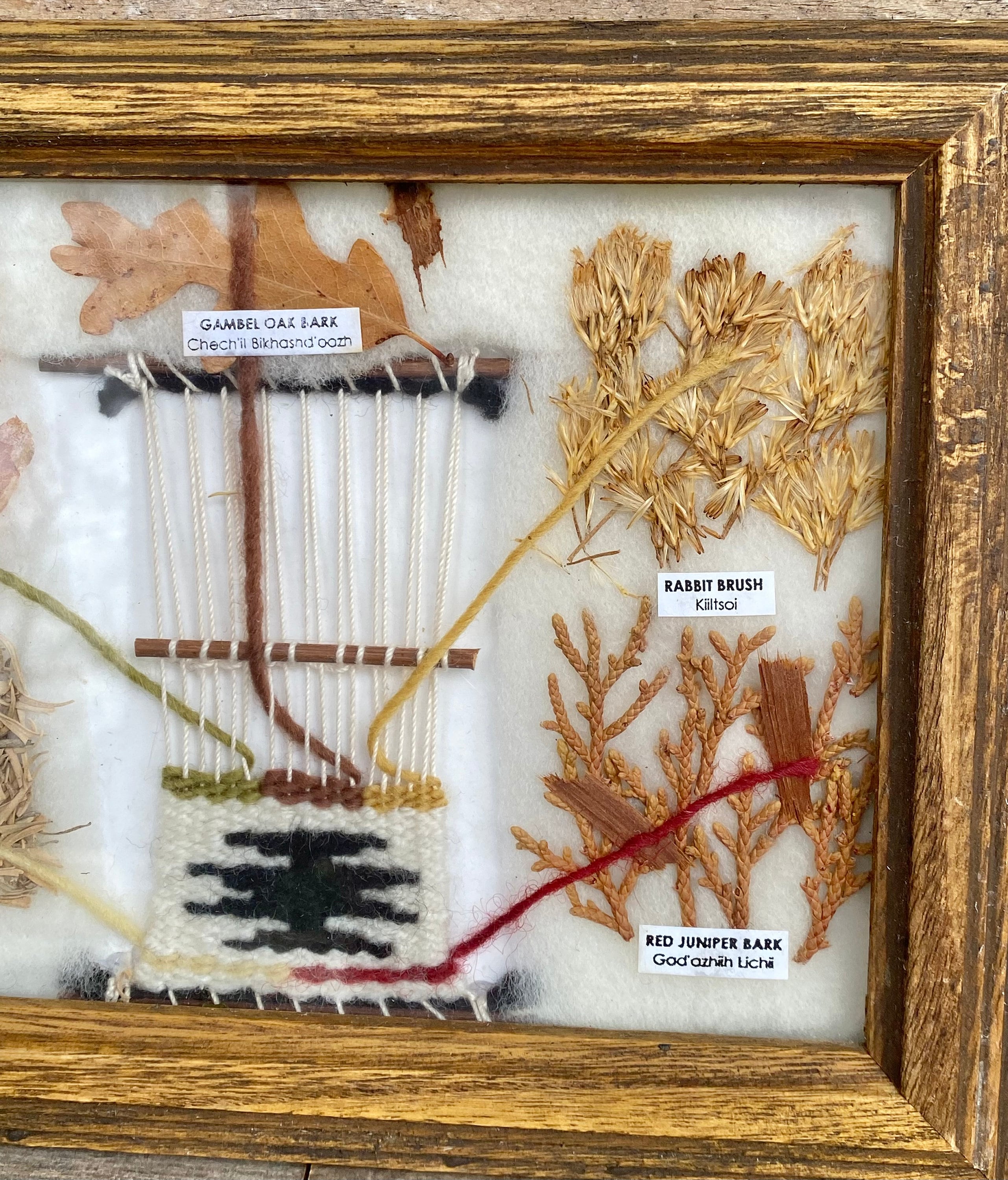 Navajo Dye Color Chart, Native American Plant Dye Chart Framed, Navajo