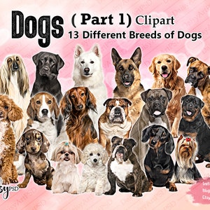 Dog Breeds sitting in front Clipart "DOGS CLIPART 01 " , Affenpinschers Dog, Beagle, Shih Tzu ... Dog Lovers Clipart, Customizable