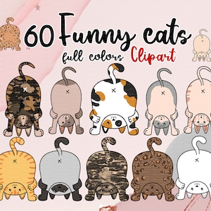 Cats Clipart, "Funny cats". Pet Clipart Full Colors,Cat illustration, Cat Cartoon Clip-art PNG