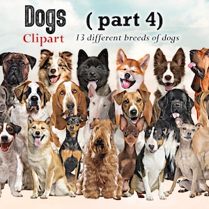 Hunderassen sitzend vorn Clipart "DOGS CLIPART 04", Bloodhound, Chesapeake Bay Retriever, Akita ... Hundeliebhaber Clipart, Individualisierbar