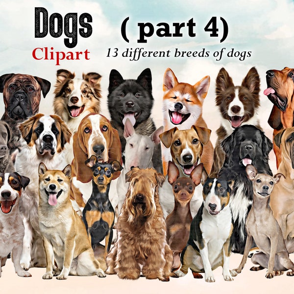 Dog Breeds sitting in front Clipart "DOGS CLIPART 04 " , Bloodhound,Chesapeake Bay Retriever, Akita ... Dog Lovers Clipart, Customizable