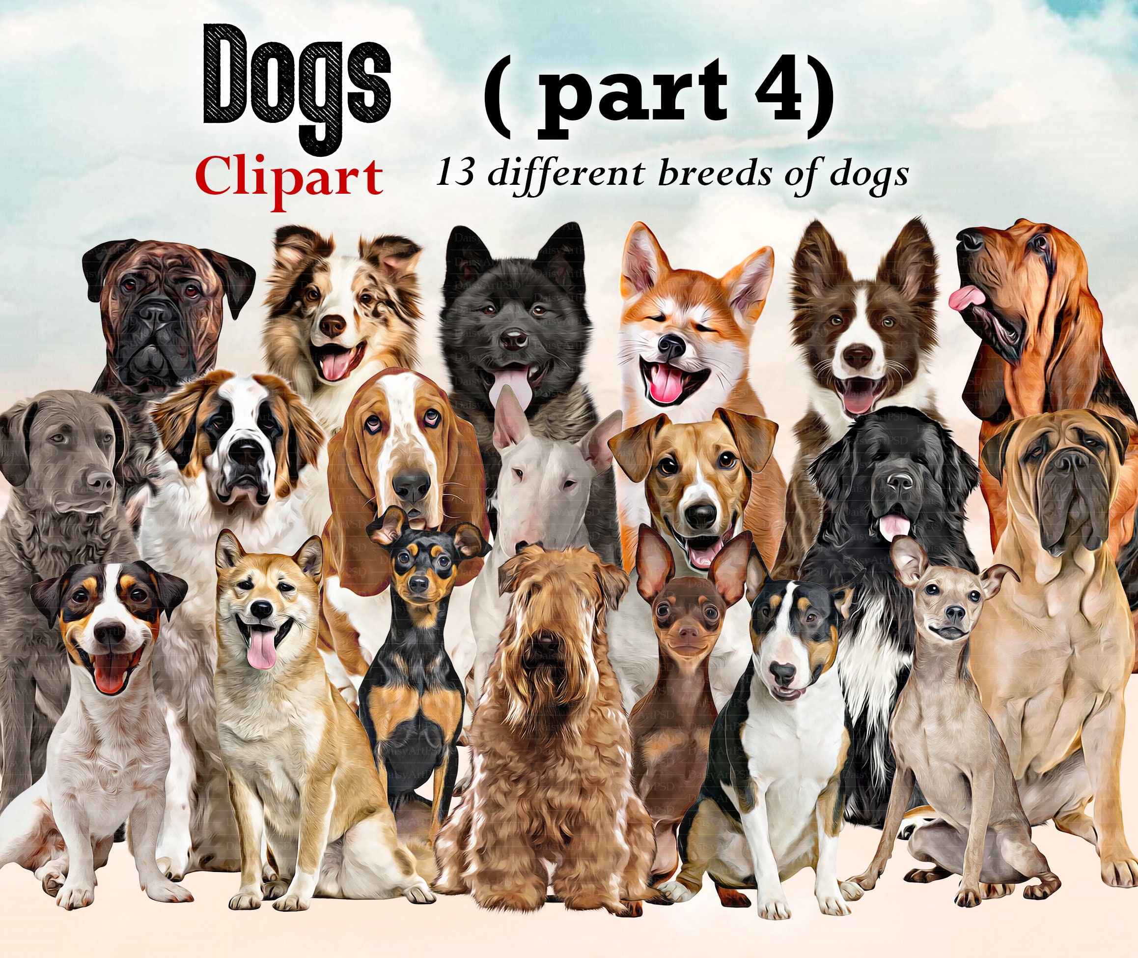 Top 10 Most Popular Dog Breeds In The World 2022 top10dogs