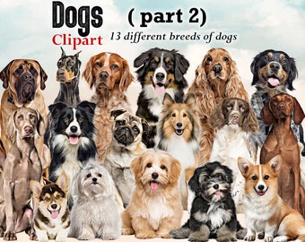 Dog Breeds Clipart: Dog Lovers PNG Graphics (Digital Download)